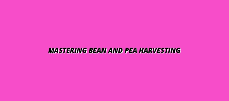Mastering Bean and Pea Harvesting